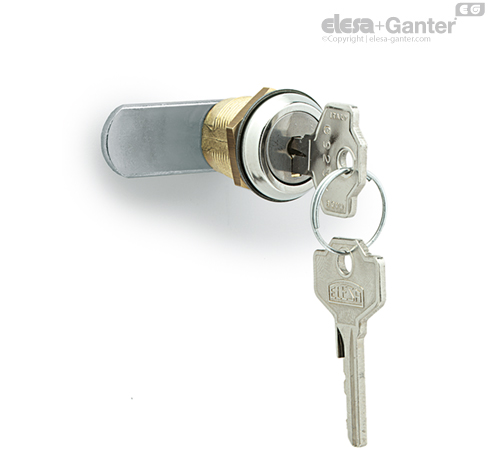 CS. Lever latches with key | Elesa+Ganter